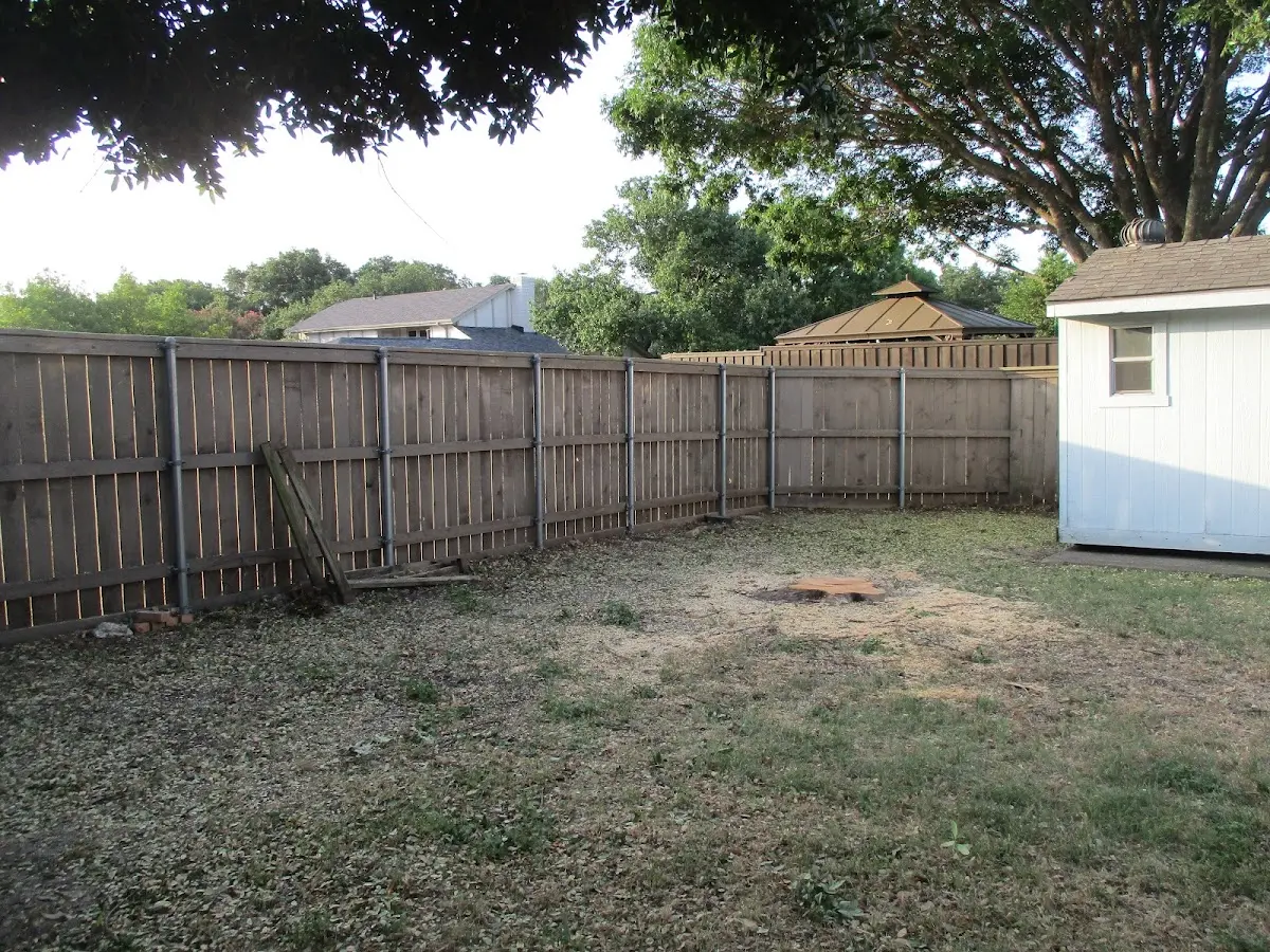 Cleared yard after professional tree removal in Fleetwood