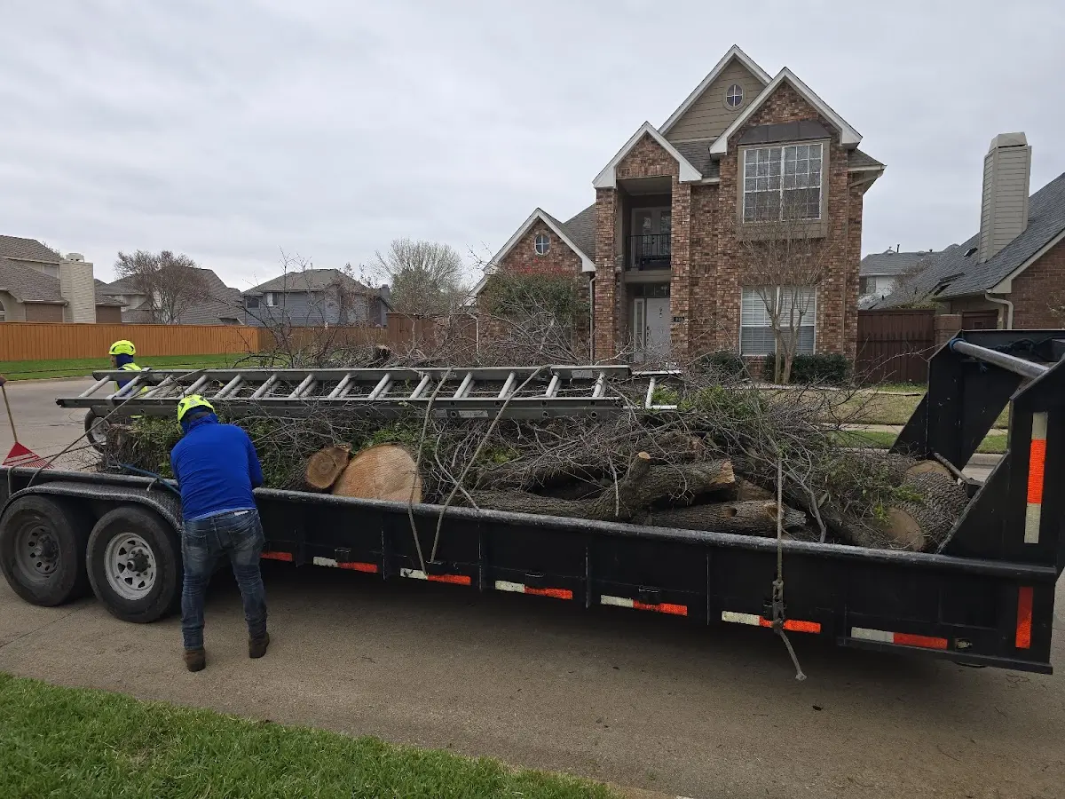 Expert Lot Clearing with proper safety equipment in Fleetwood